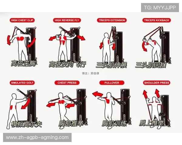 零基础居家健身器材入门指南